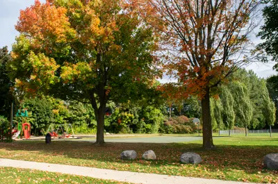 Mac McAllen Park baseball diamond